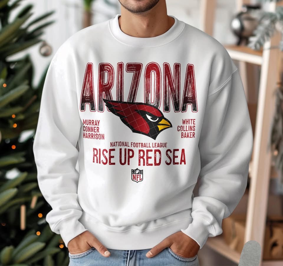 NFL Team Shirts